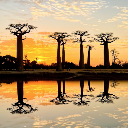 Bienvenue à Madagascar